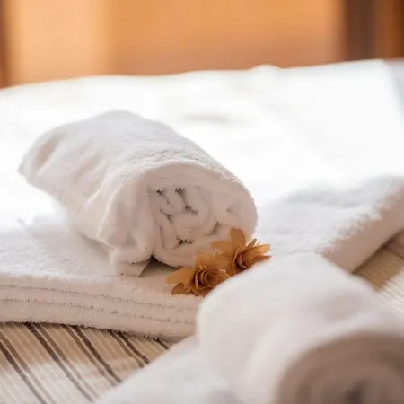 公寓 奥莉亚岛公寓 *