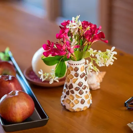 Apartamento Insula Aurea *