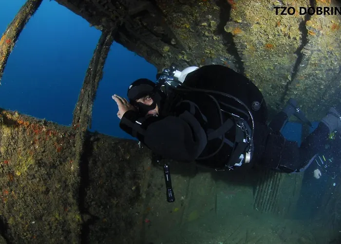 Apartment Insula Aurea