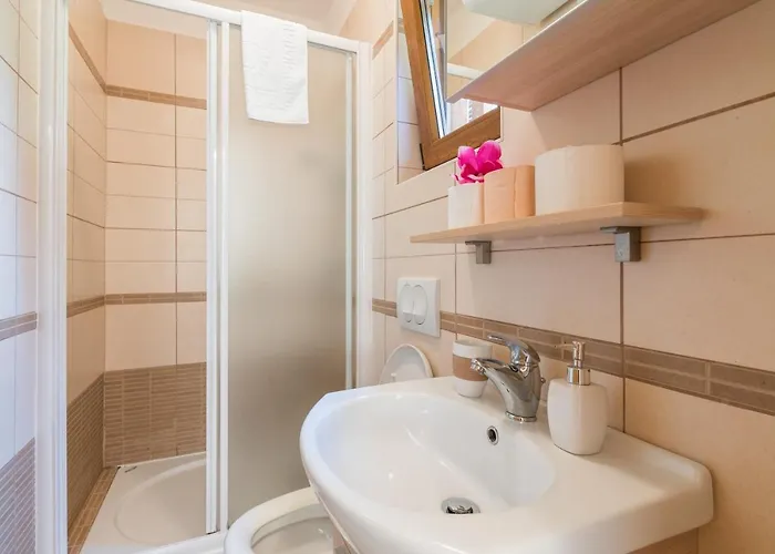 Apartment Insula Aurea